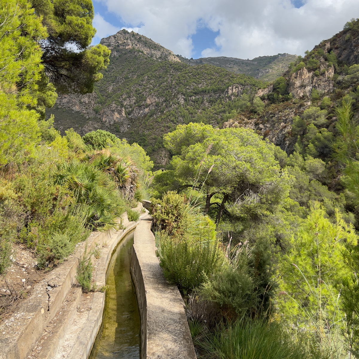 El Acequia Loop 5