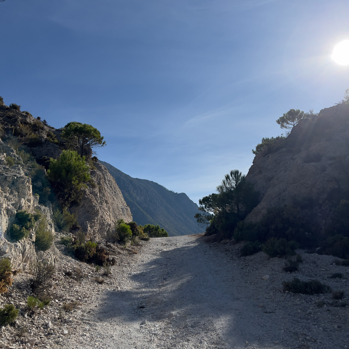 El Acebuchal to Puerto Blanquillo Loop 2