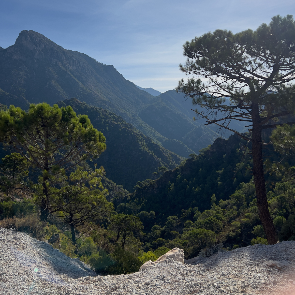 El Acebuchal to Puerto Blanquillo Loop 3