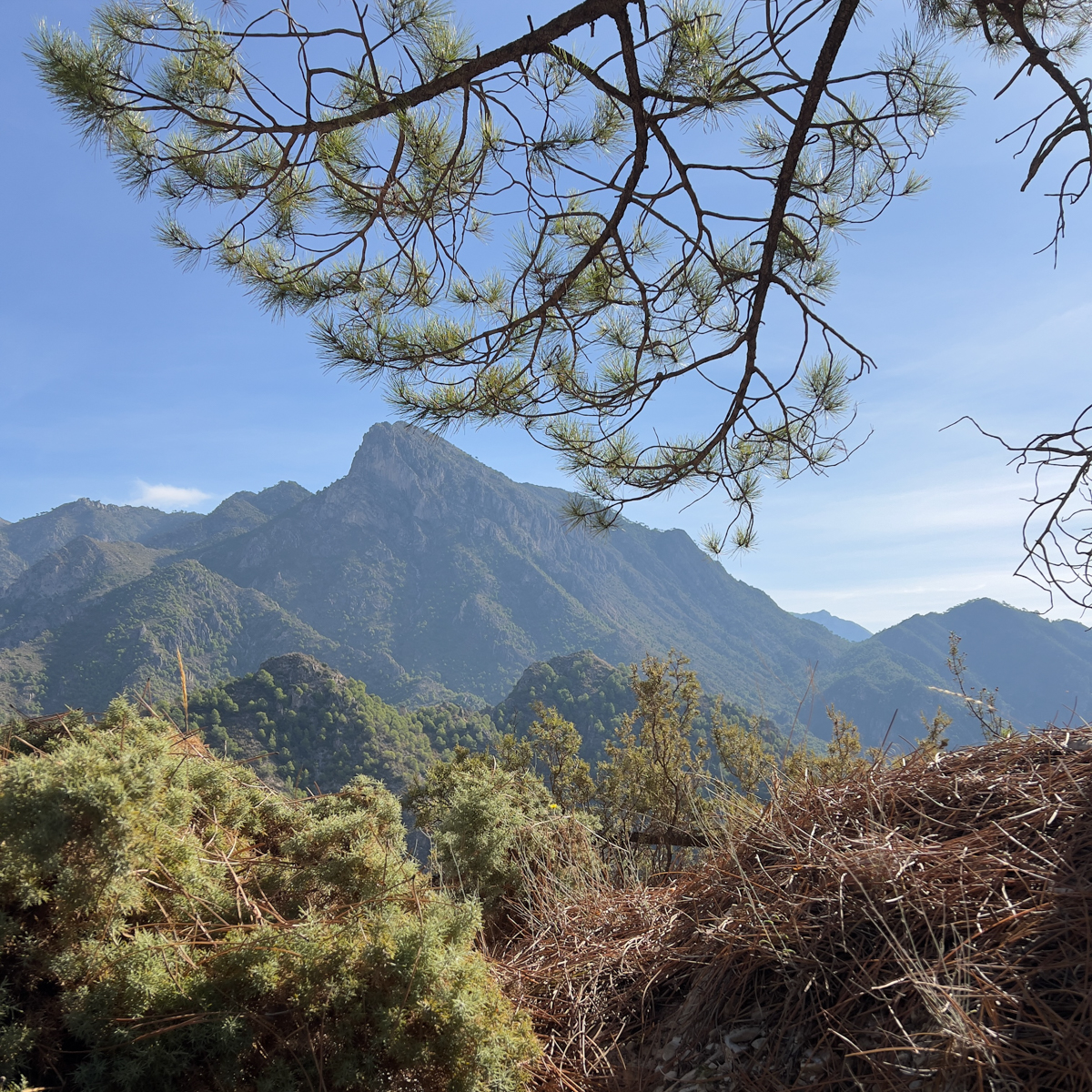 El Acebuchal to Puerto Blanquillo Loop 5