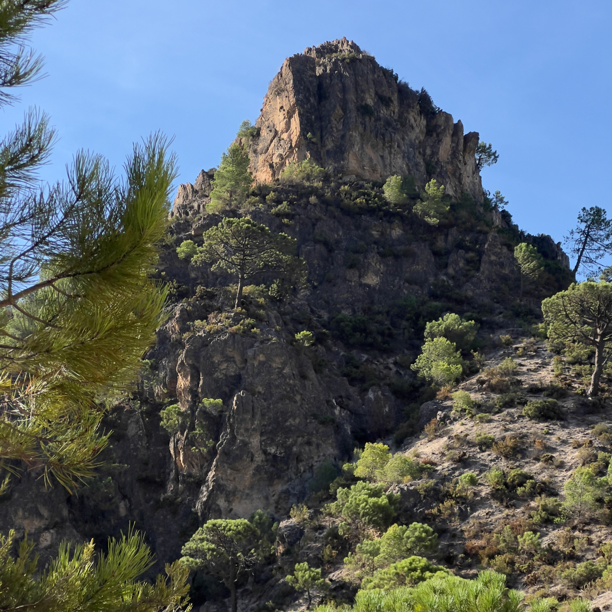 El Acebuchal to Puerto Blanquillo Loop 7