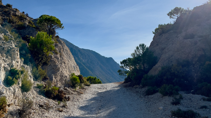 El Acebuchal to Puerto Blanquillo Loop