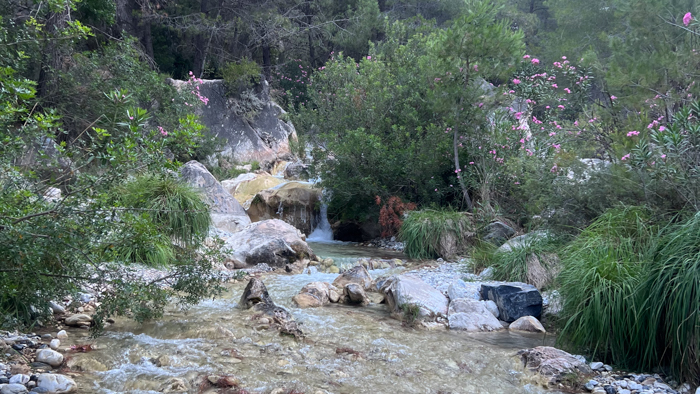 Frigiliana to Altos de Chillar