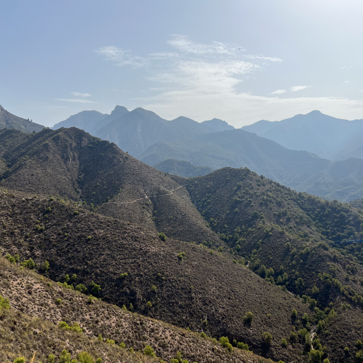 Frigiliana to Altos de Chillar 1