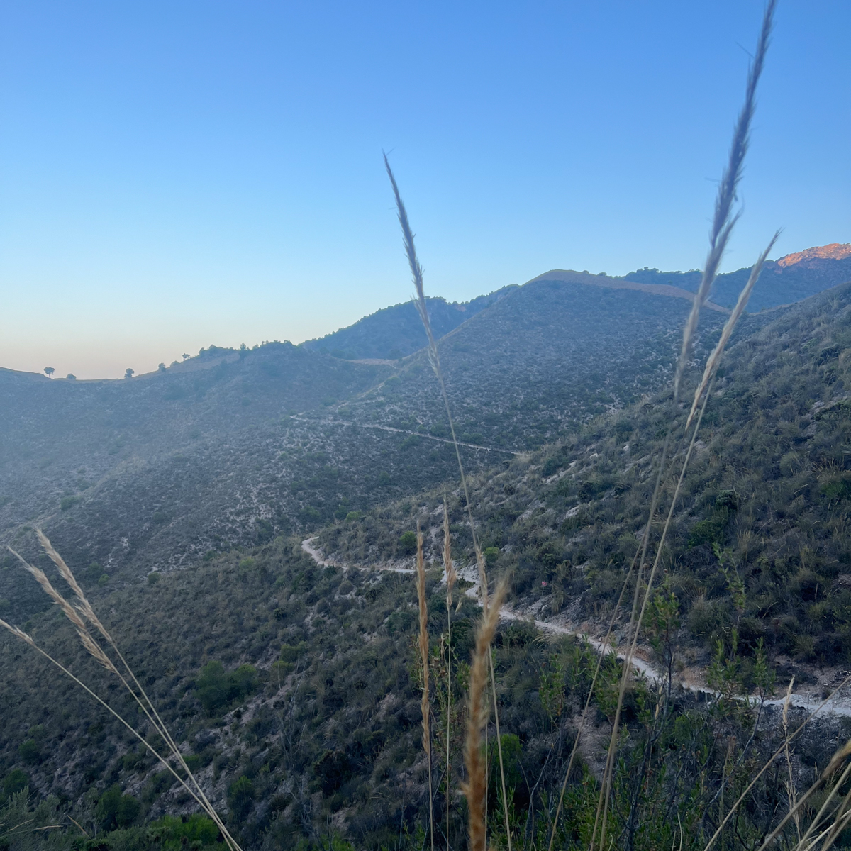 Frigiliana to Altos de Chillar 4