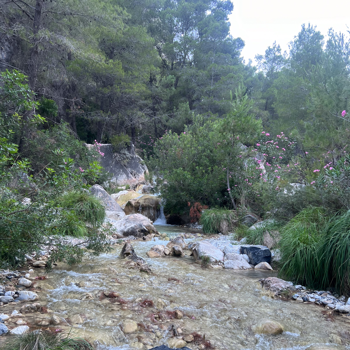 Frigiliana to Altos de Chillar 5