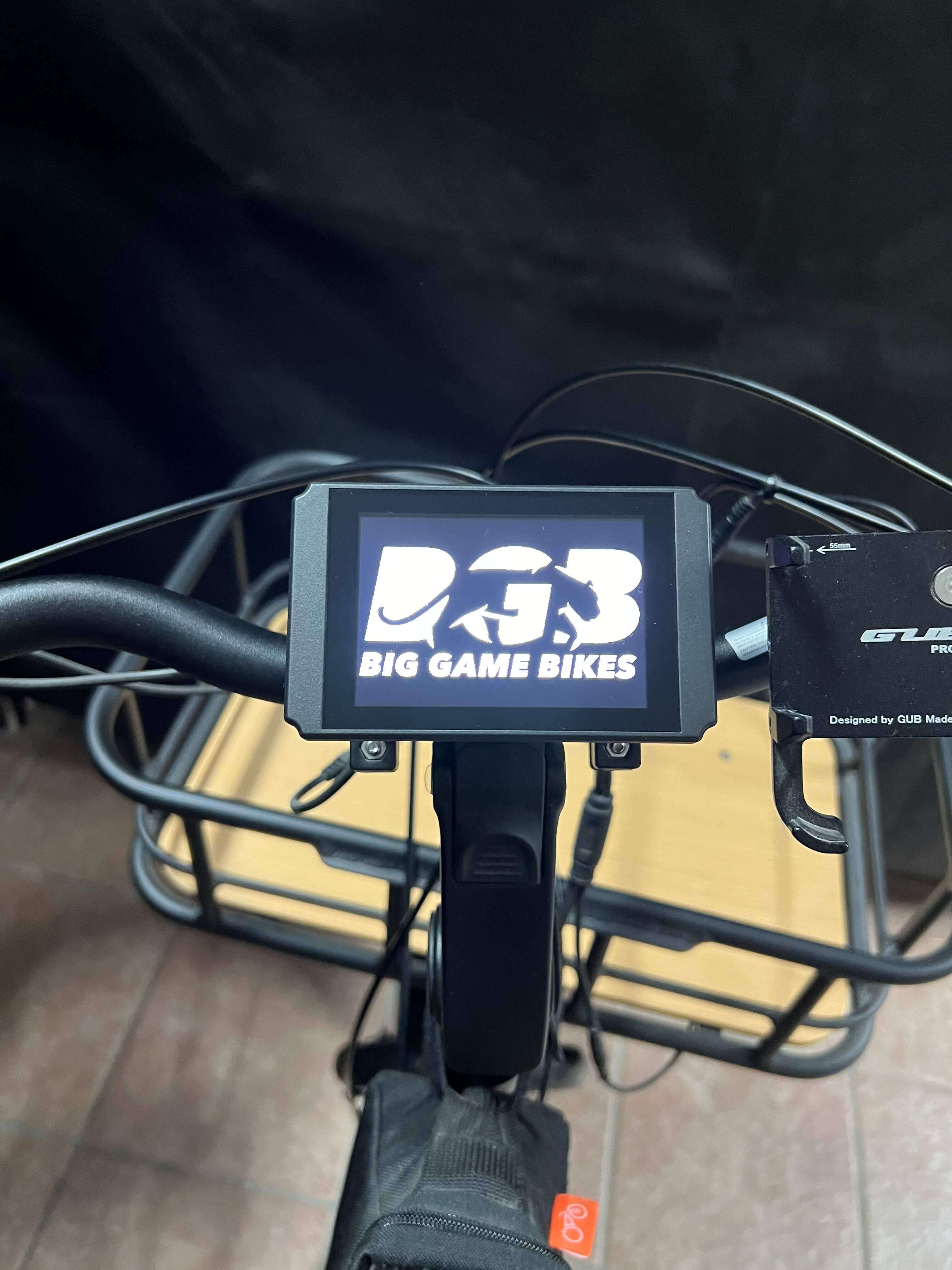 Rad Power Bikes Radwagon 4 4